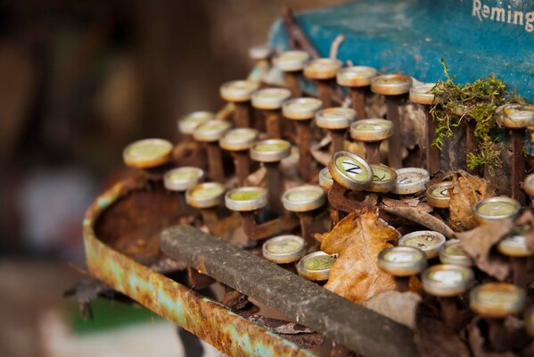 The old typewriter is dying