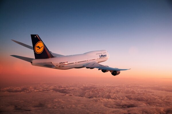 Spektakulär fliegendes Flugzeug in den Sonnenuntergang