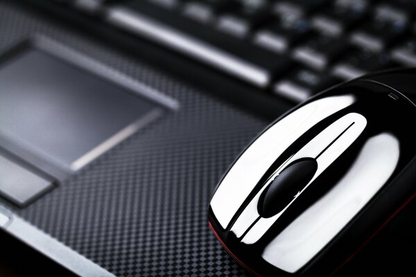 Souris sur le clavier. Informatique