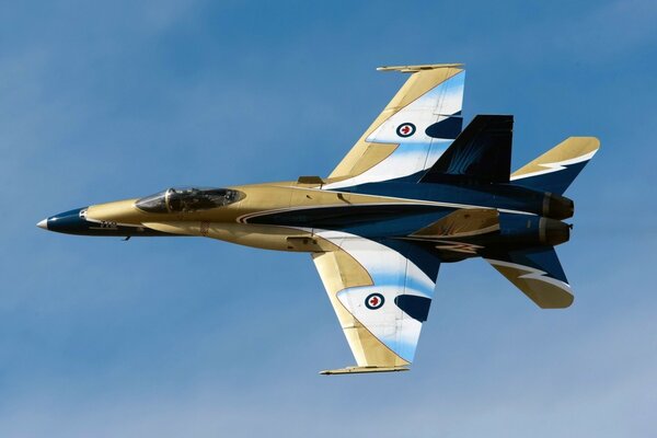 Canadian aircraft hornet CF-18 in the sky