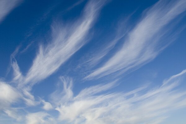 Transparent clouds blurred edges of the sky sky