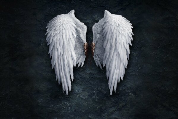 Gorgeous angel wings on a stone wall