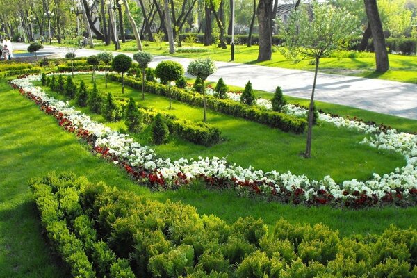 La belleza de los espacios verdes del parque