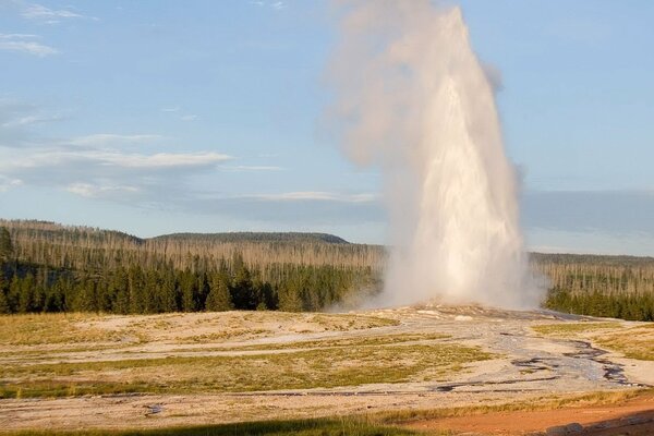 Geyser in sandy soil with a torus