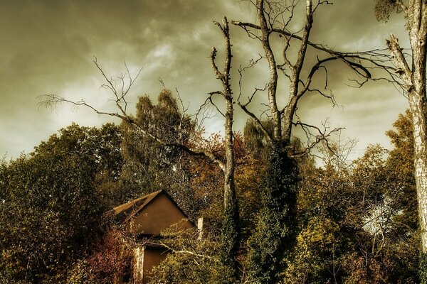 Nel cielo sopra la casa si raccolgono le nuvole