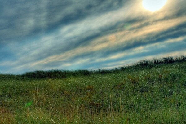 Paysage de beau ciel et champ