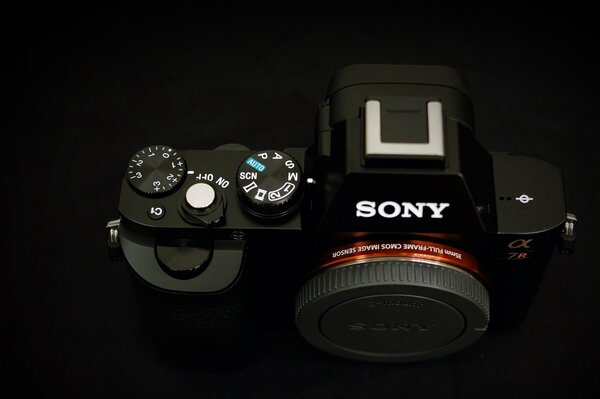 Schwarze Sony-Kamera mit Makrohintergrund