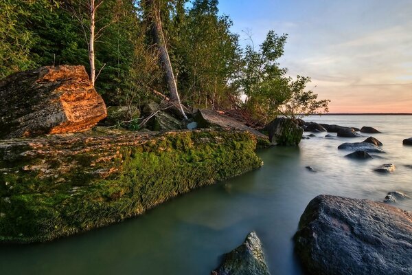 River bank with moss-covered rocks