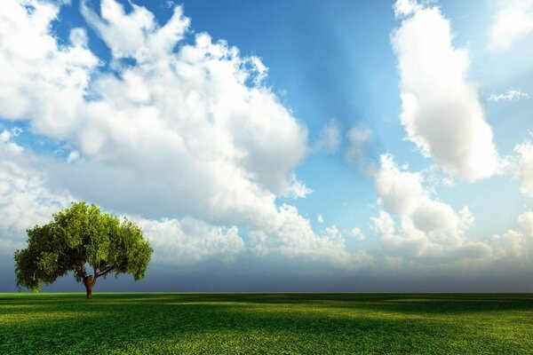 Un día de verano sereno bajo un cielo sin fondo