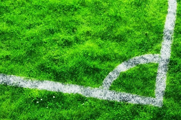 Campo da gioco con erba verde e motivo a gesso