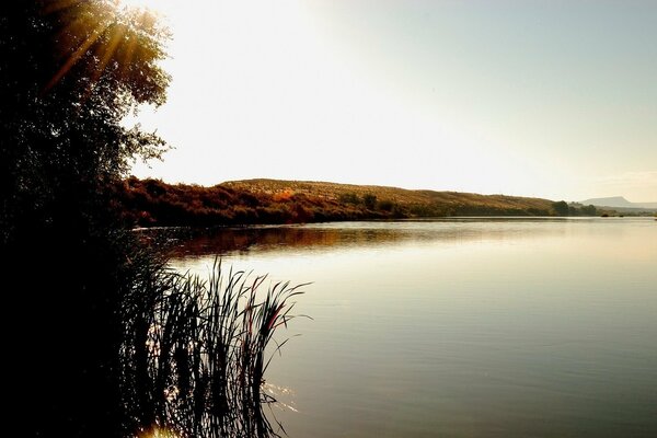Mañana naturaleza lago amanecer