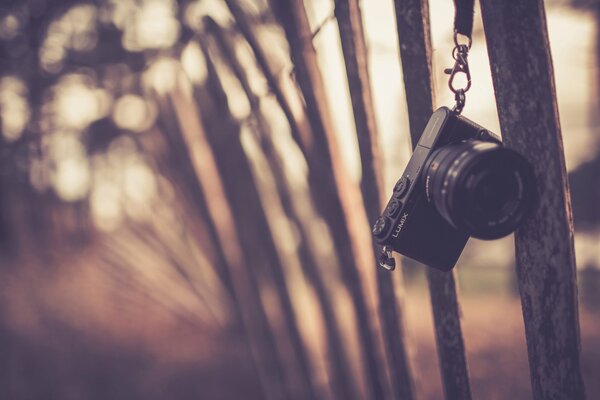 Processing a photo with a camera hanging on a fence