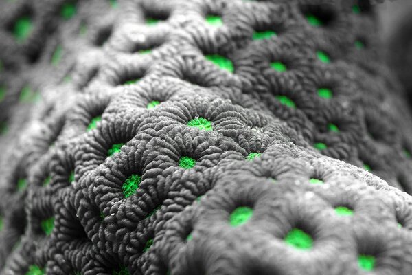 Macro image of gray-green fabric