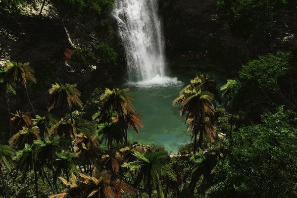 Waterfall in the thicket of the green forest