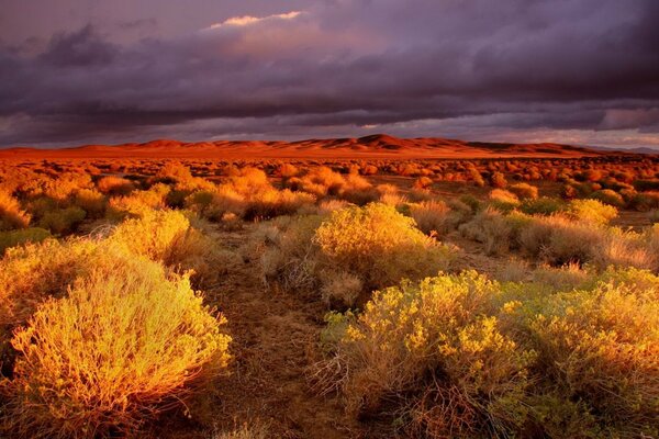 Il cielo nel deserto è coperto di nuvole