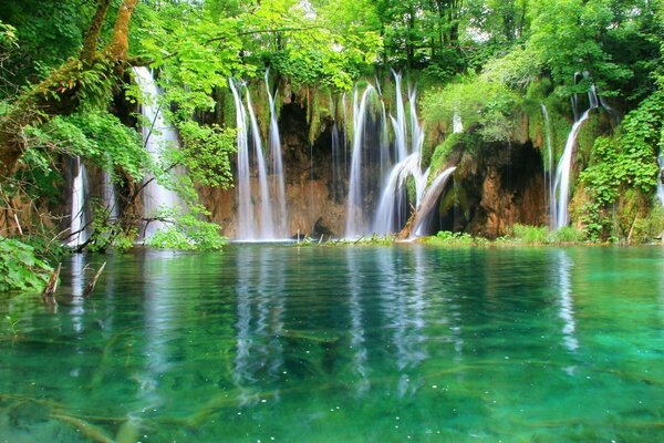 Pequeñas cascadas que fluyen matorrales verdes