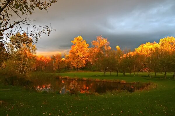 Schöne Herbstbäume am Teich