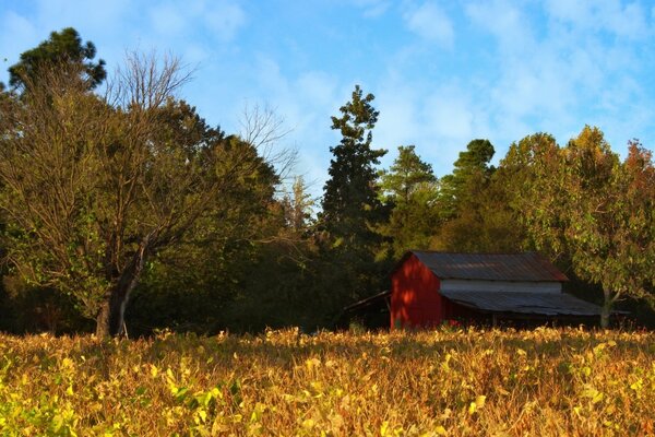 Maison champ forêt nature Prairie