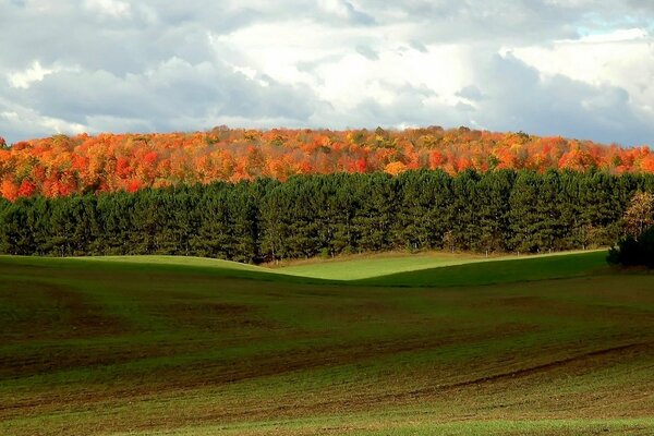 Herbstlandschaft, blau, orange und grün