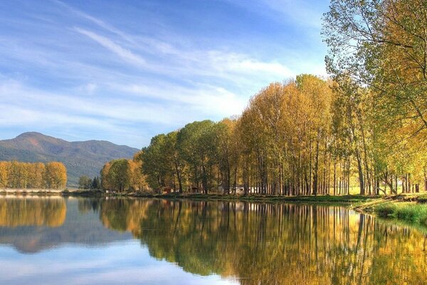 A mirror image of nature in the lake