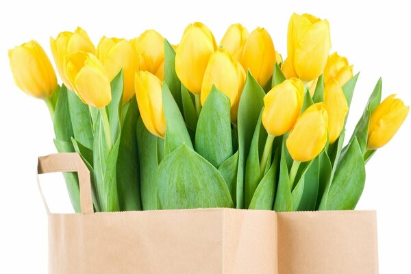 A bouquet of yellow tulips with long leaves is waiting for the owner