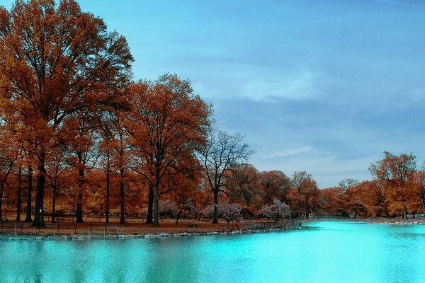 Park mit himmelblauem Wasser