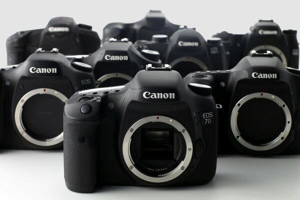 Canon eos 7D pod makro na jasnym tle