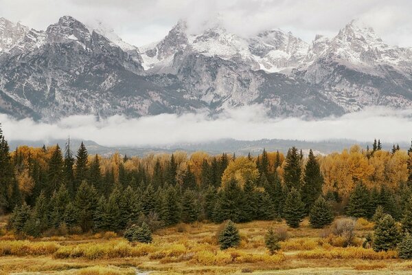 Autumn forest on the background of snowy mountains