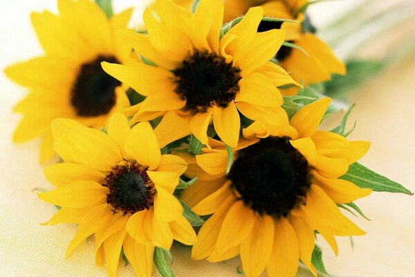 Bouquet per la bellezza dei girasoli-bambini sole