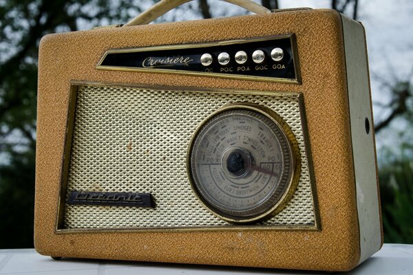 Vieille radio sur fond de nature