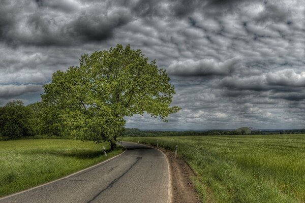 Schöne Landschaft mit bewölktem Himmel