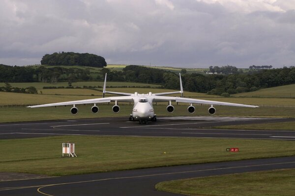 The plane is on the runway in the summer