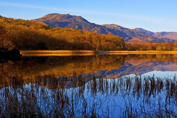 Reflection of autumn in the surface of the lake