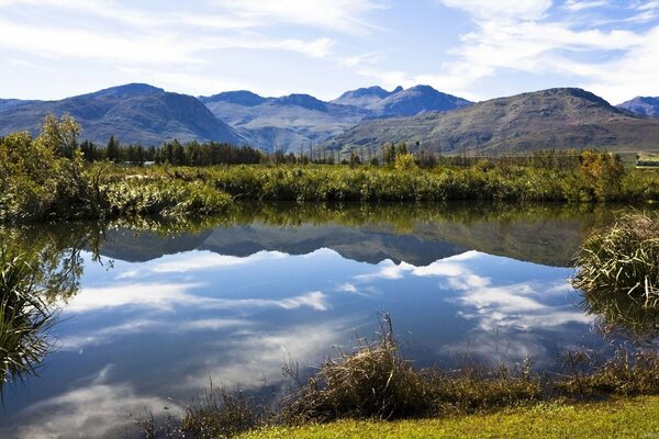 Reflet miroir de la faune dans le lac