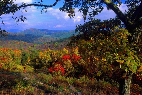 Autumn landscape and autumn colors