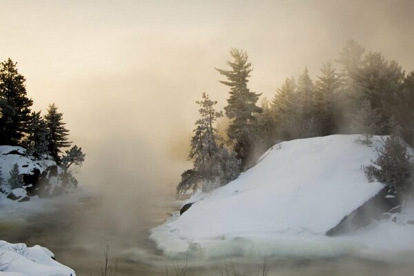 Winterdichter Nebel im Wald