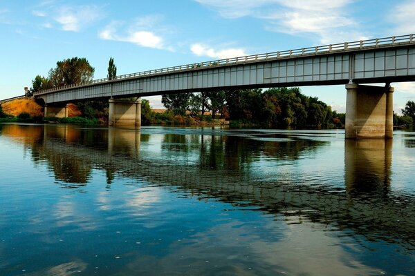 Puente sobre un estanque limpio