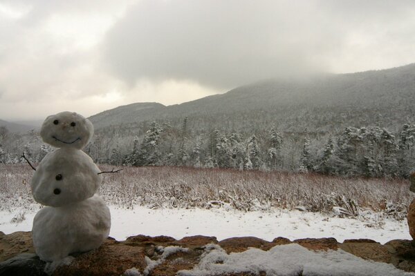 Sekgovik on the background of a snow-covered forest