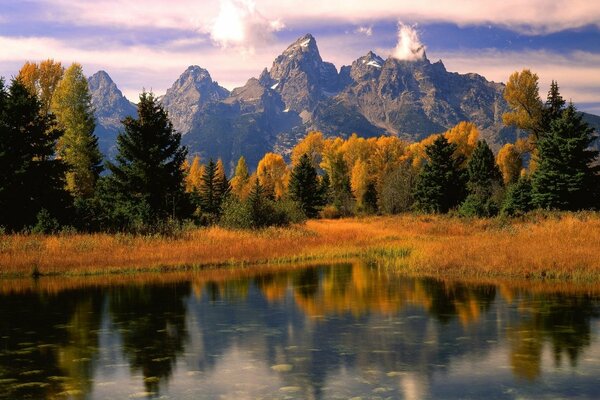 Autumn landscape with yellow grass