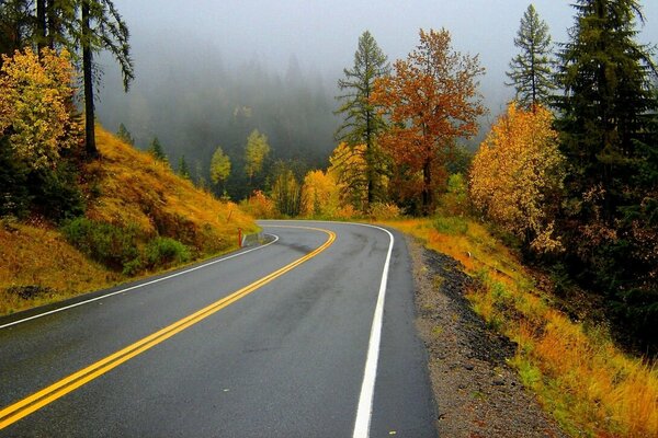 Route pluvieuse d automne dans la forêt