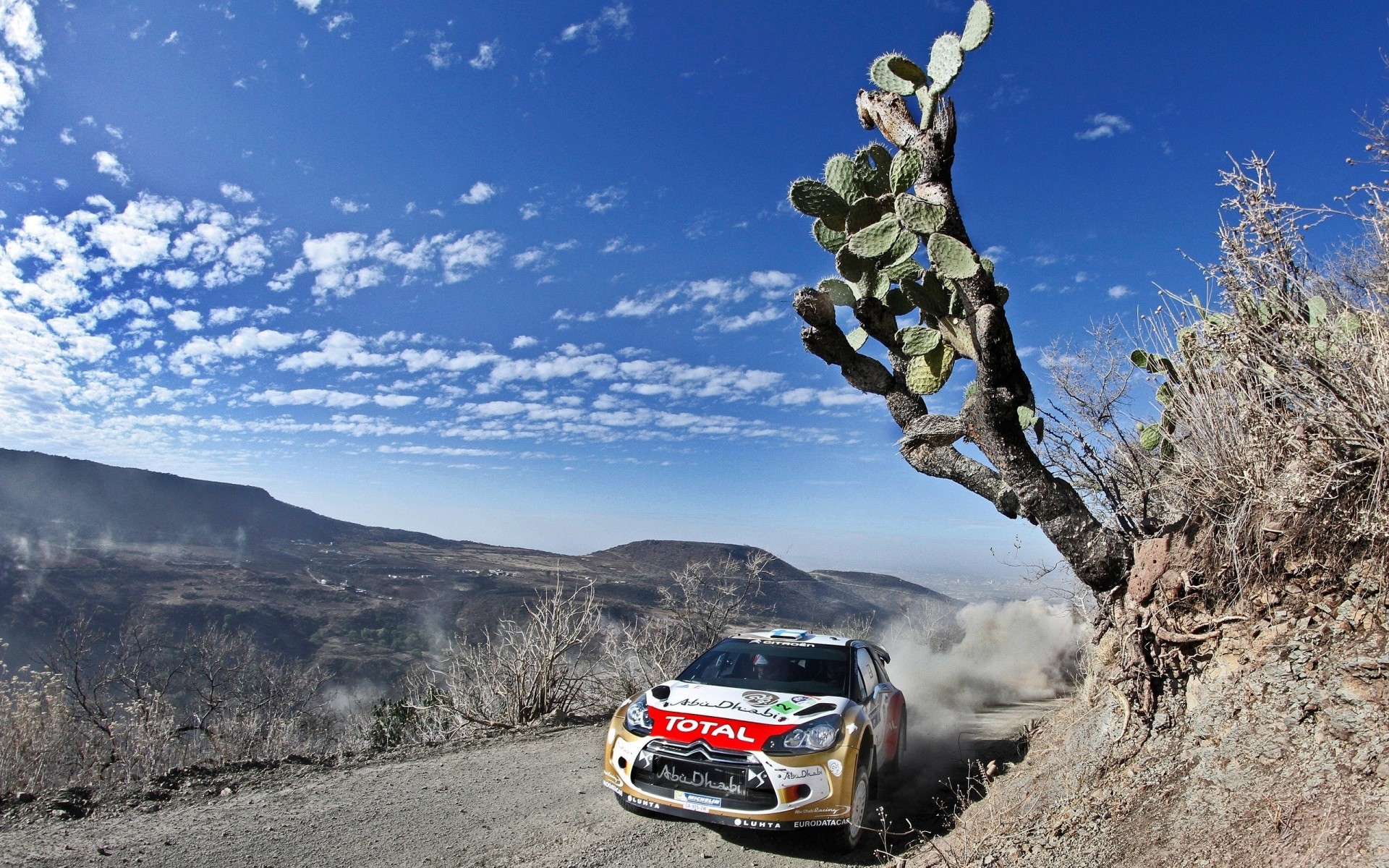 ds3 raduno cielo giorno citroen bombardiere corsa sport