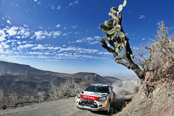 Citroen sports race on the road in the mountains