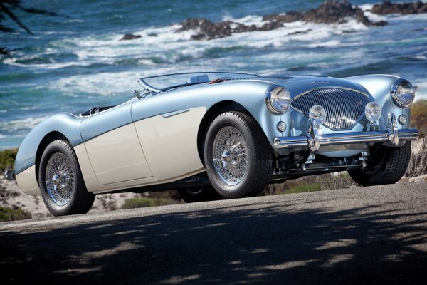 Classique belle voiture austin healey