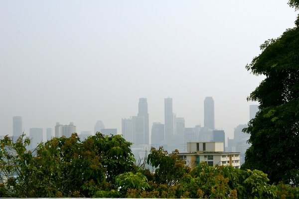 Singapur ist eine Stadt des grenzenlosen Himmels und vieler Bäume