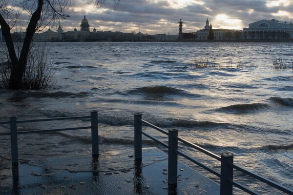 Le onde sull acqua hanno annegato l erba