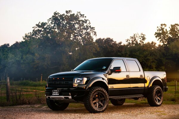 Ford pick-up noir sur un chemin de terre