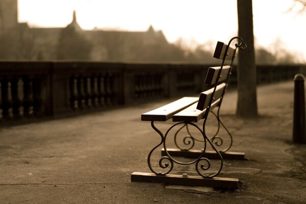 Banc vide sur le front de mer