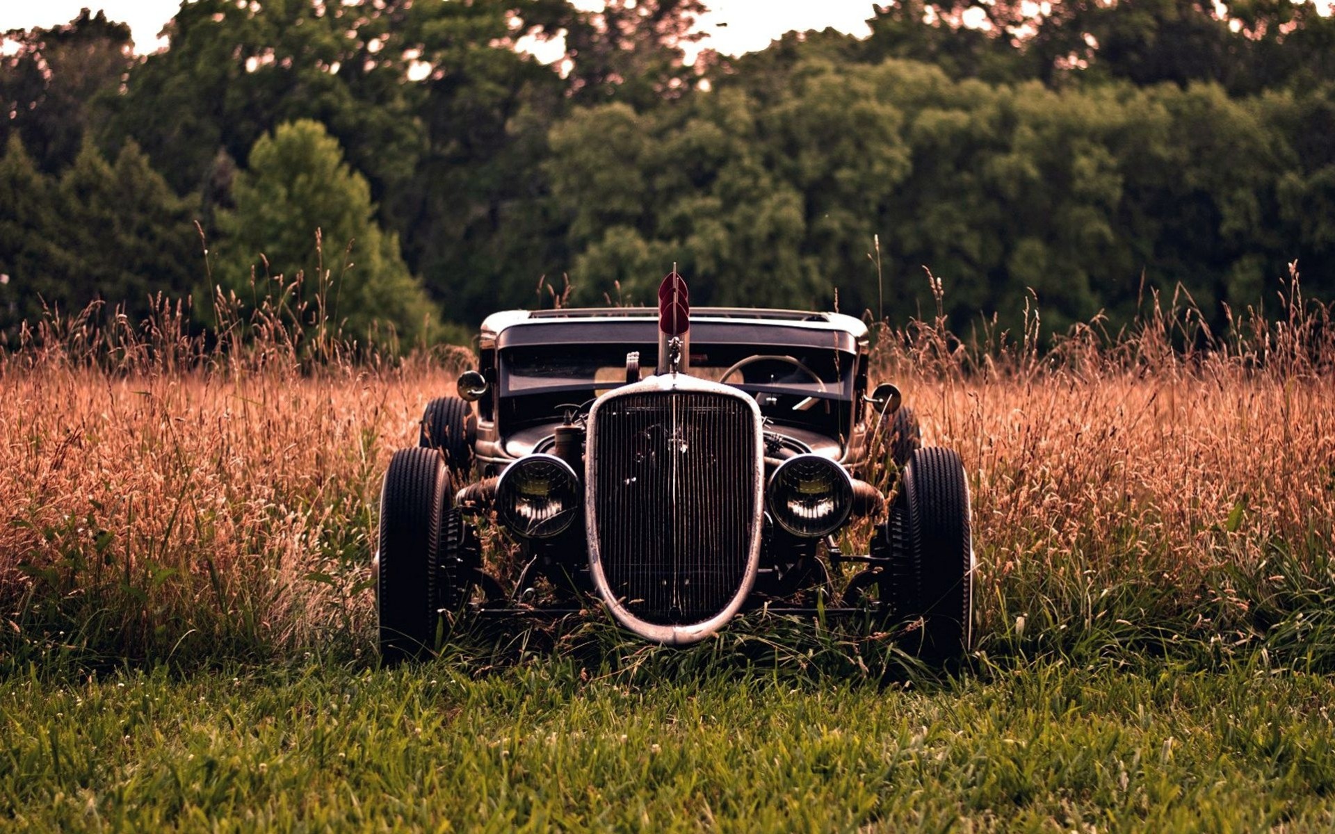 natur alt oldtimer