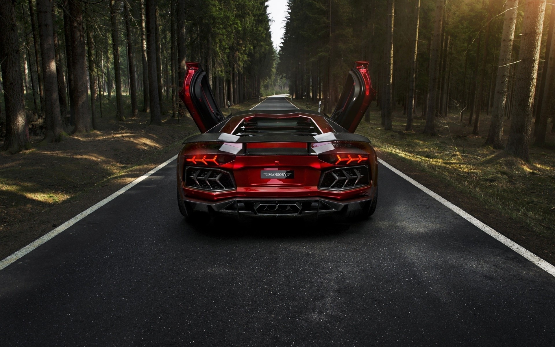 авентадор aventador lp700-4 lamborghini lamborghini aventador лес mansory