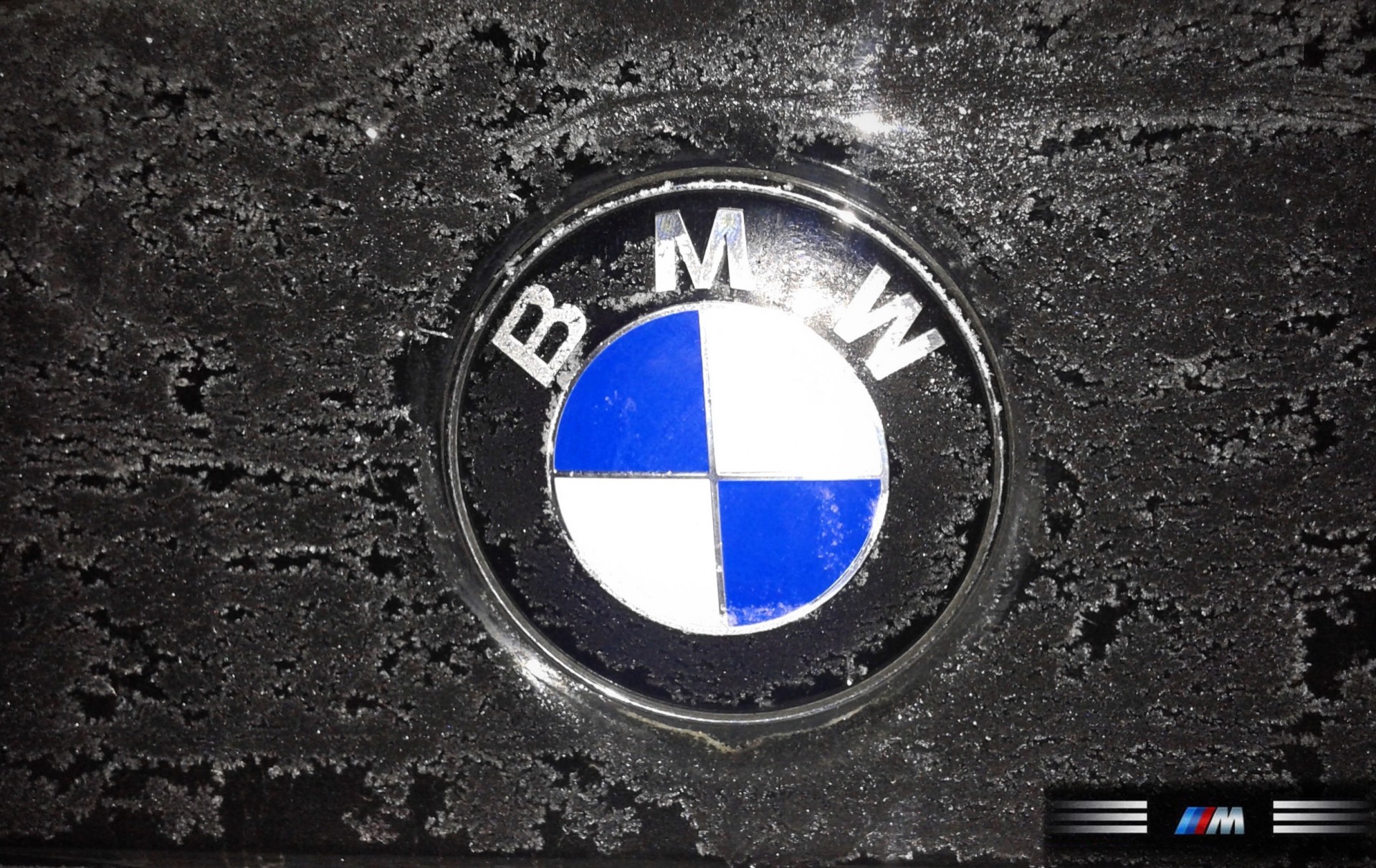 klub emblemat e46